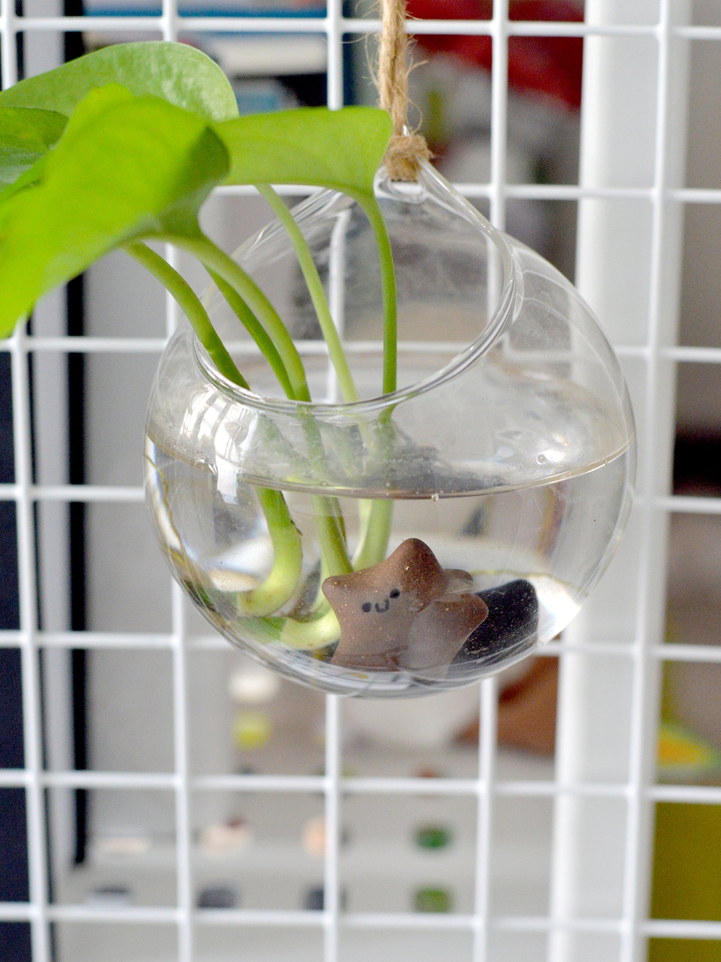 不小心落到地球的小星星