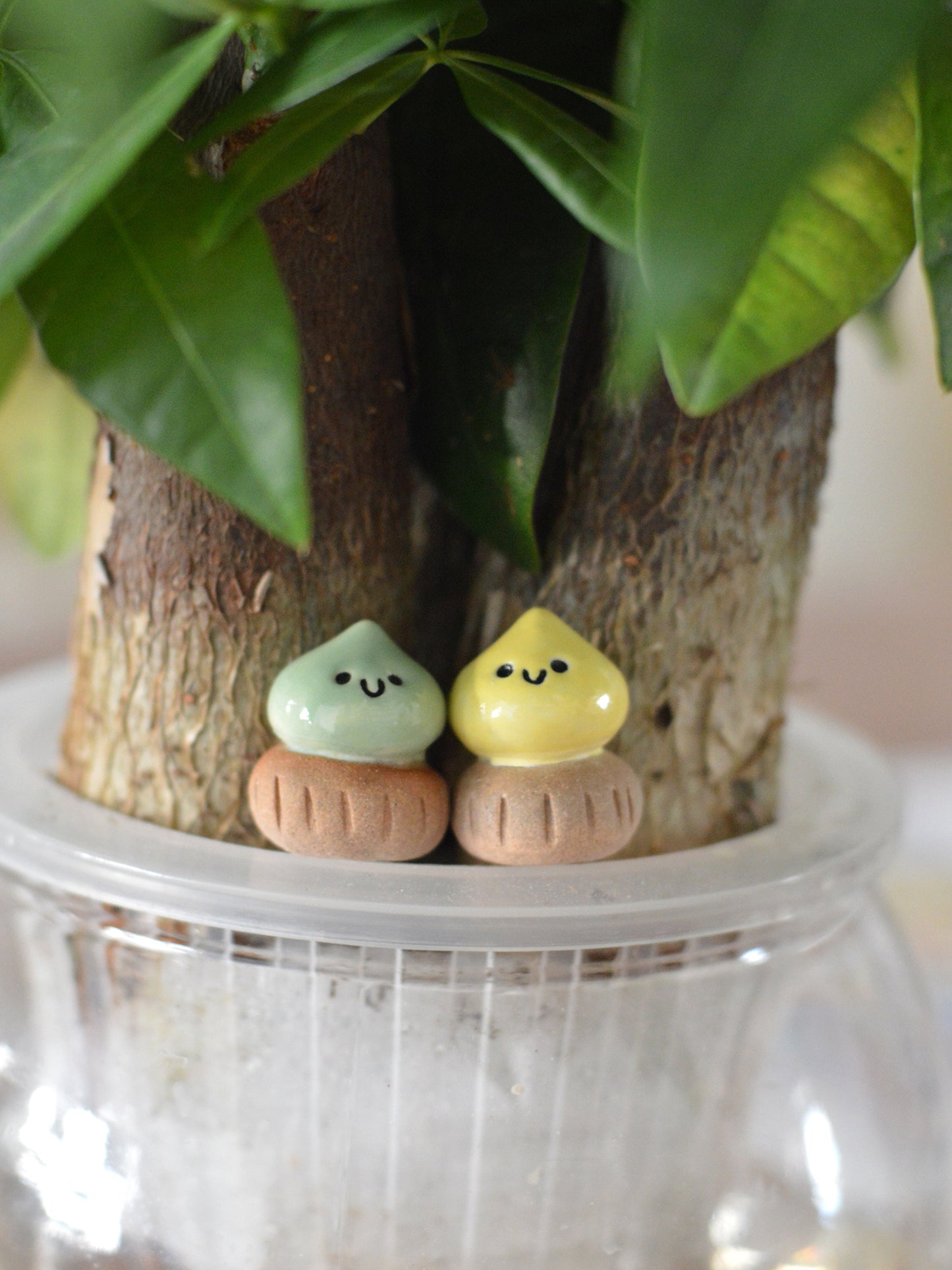 小小肚臍餅/花塔餅