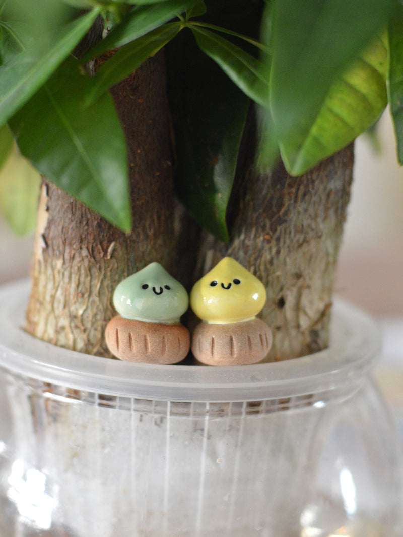 小小肚臍餅/花塔餅